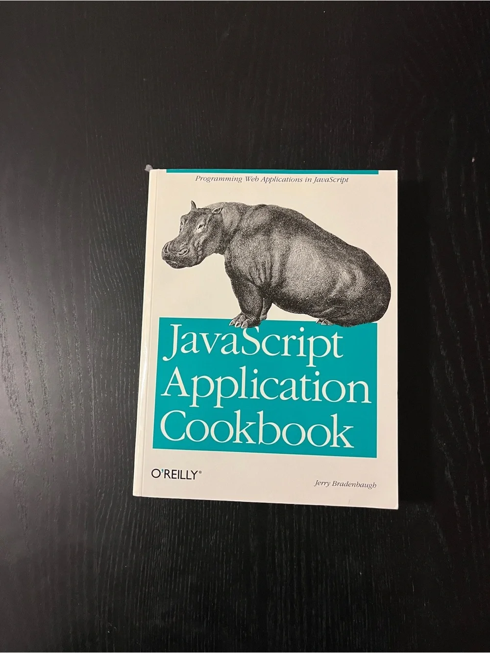 O'Reilly JavaScript Application Cookbook Book 1st Edition Jerry Bradenbaugh 1999